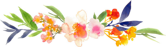 彩色花朵花瓣树叶叶子素材