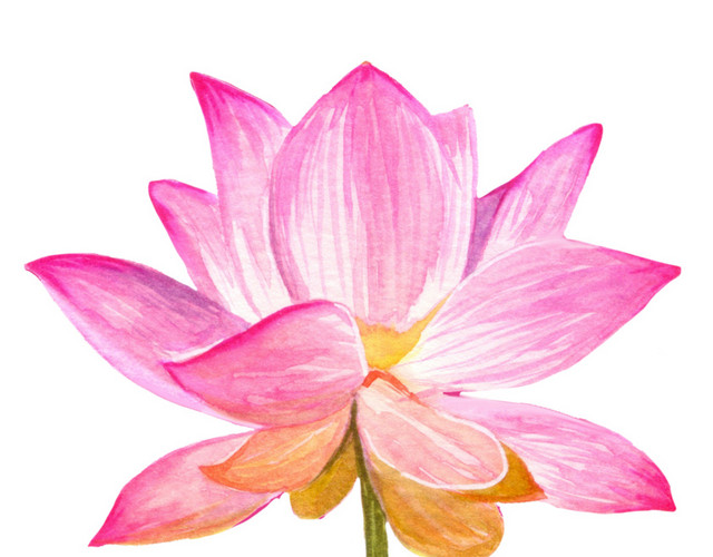 小清新水彩荷花图片