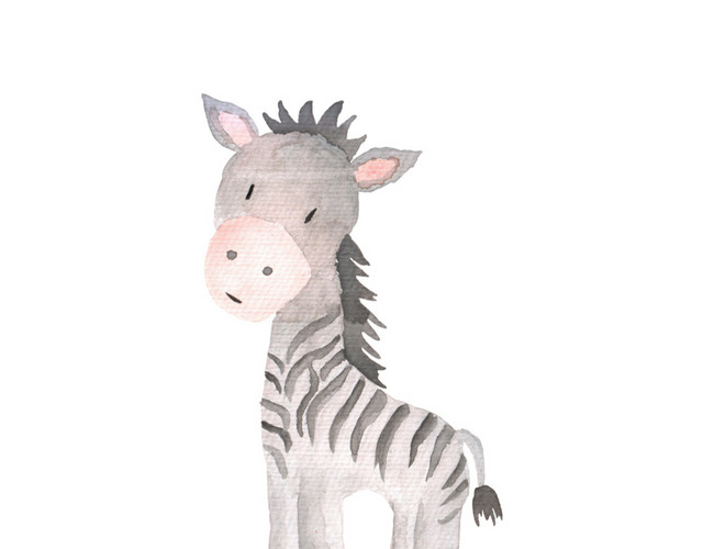 清新水彩动物插画