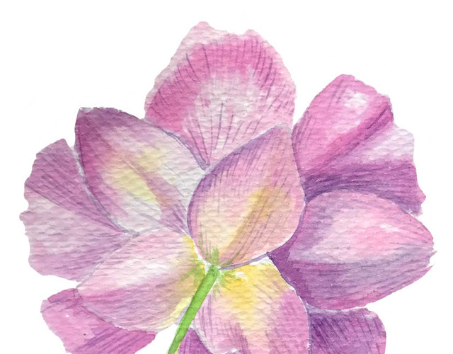 淡紫色花朵免抠素材