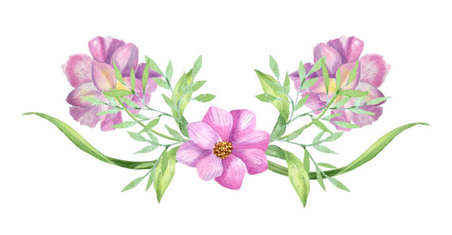 手绘花卉免抠素材