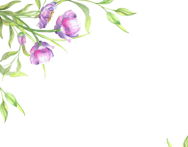 花卉背景素材