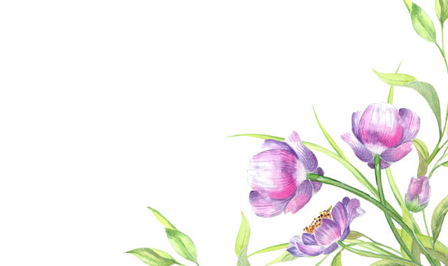 花卉背景素材