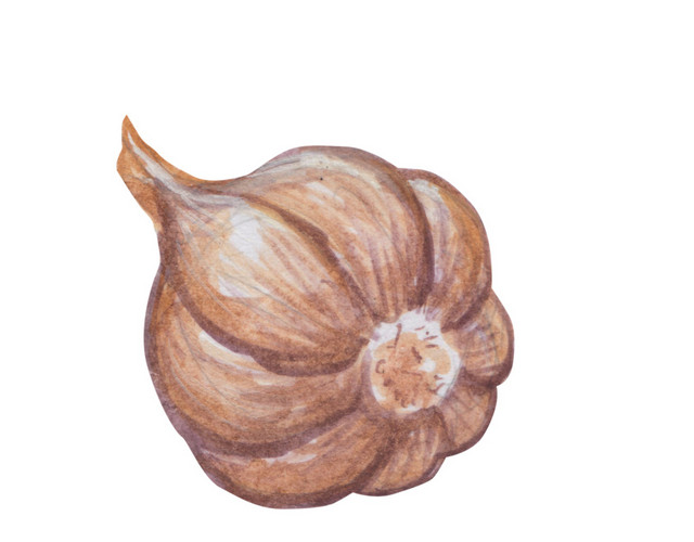 食材蒜瓣免抠素材
