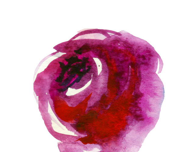 玫瑰花苞免抠素材
