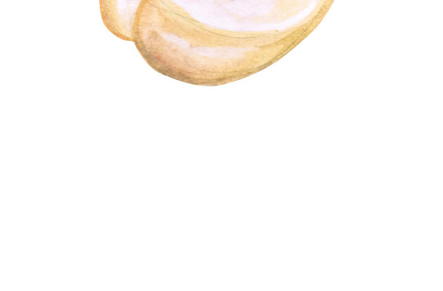蒜瓣免抠素材