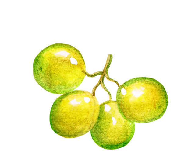 葡萄免抠素材