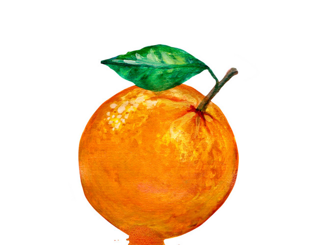 橙子免抠素材