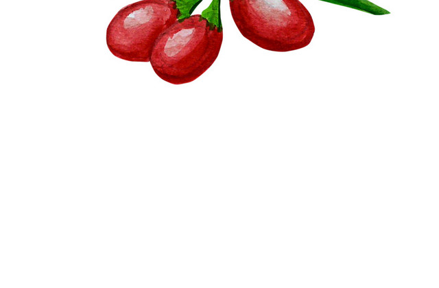 红枣免抠素材