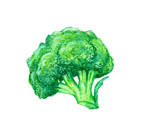 手绘花菜免抠素材
