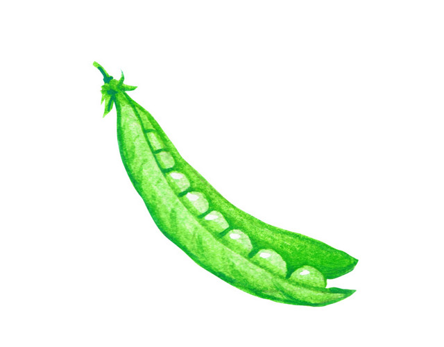 豌豆免抠素材
