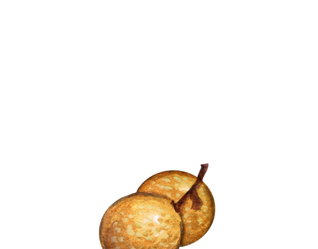 龙眼免抠素材