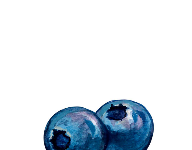 蓝莓免抠素材