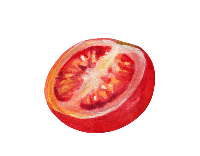 可爱水彩番茄插画素材图