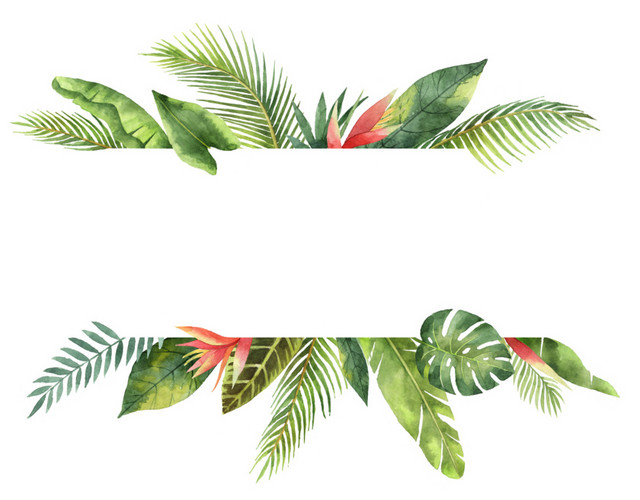 创意儿童水绿色植物标签素材