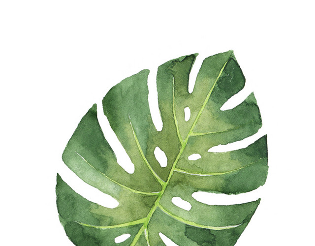 可爱水彩绿色植物插画素材图