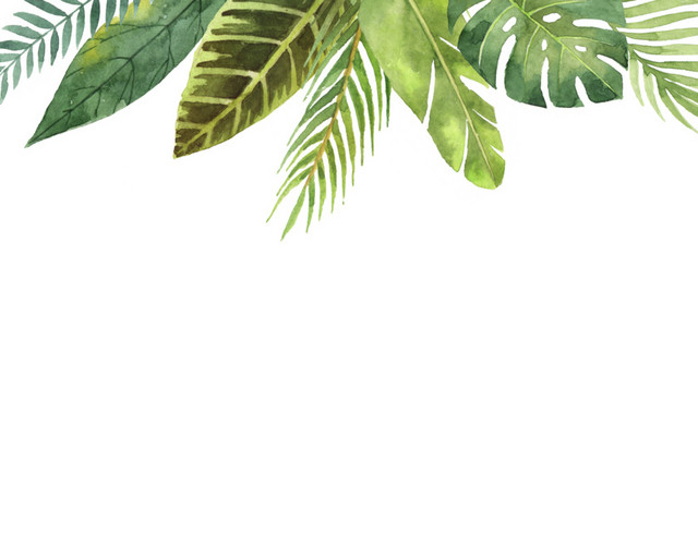可爱水彩绿色植物插画素材图