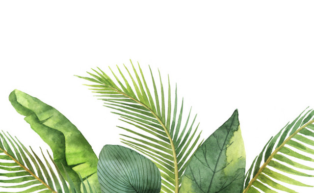 可爱水彩绿色植物插画素材图