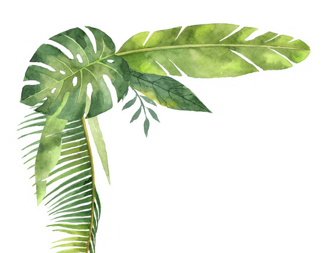 可爱水彩绿色植物插画素材图