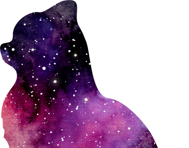 彩色星空猫剪影设计矢量图片