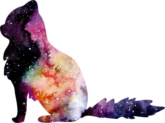 彩色星空猫剪影设计矢量图片
