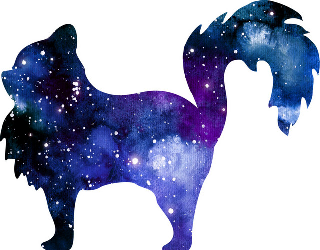 彩色星空猫剪影设计矢量图片