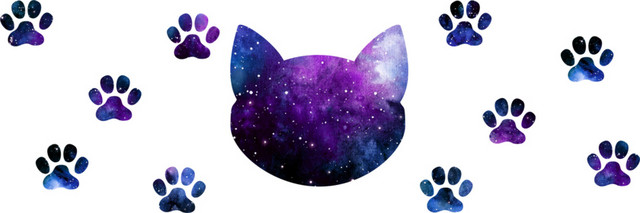 彩色星空猫剪影设计矢量图片