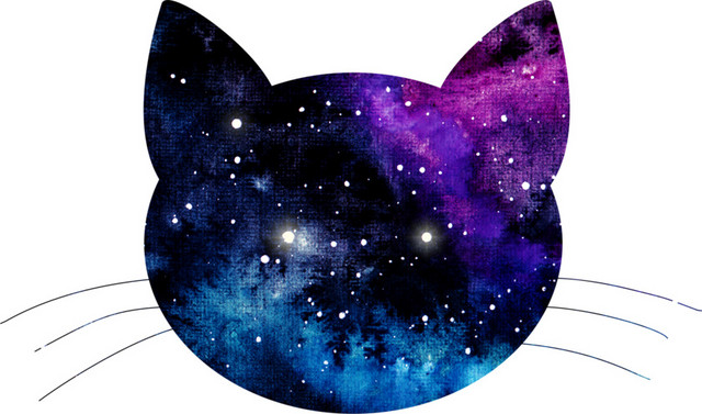 彩色星空猫剪影设计矢量图片
