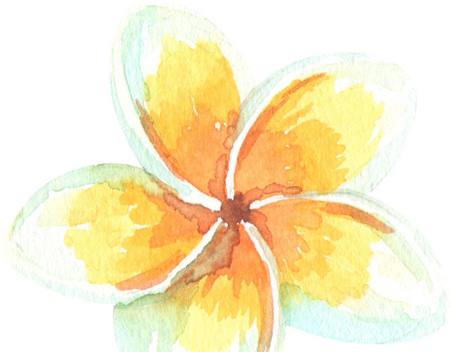 黄色手绘花朵水彩插画