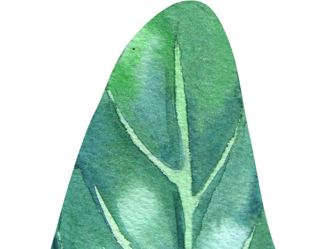 绿色手绘树叶水彩插画