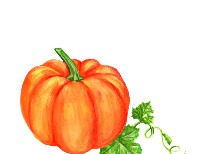 彩色手绘南瓜水彩插画