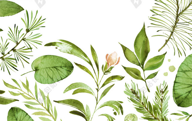 绿色清新植物手绘水彩插画背景素材