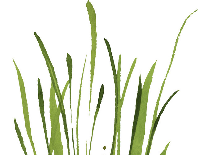 绿色清新植物手绘水彩插画