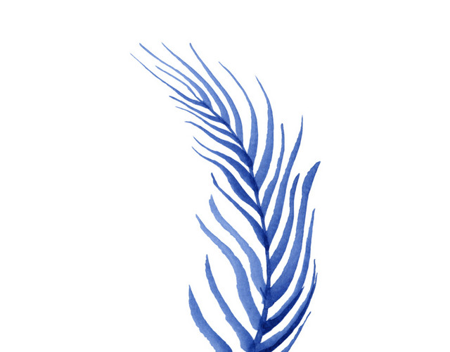 蓝色手绘树叶水彩插画