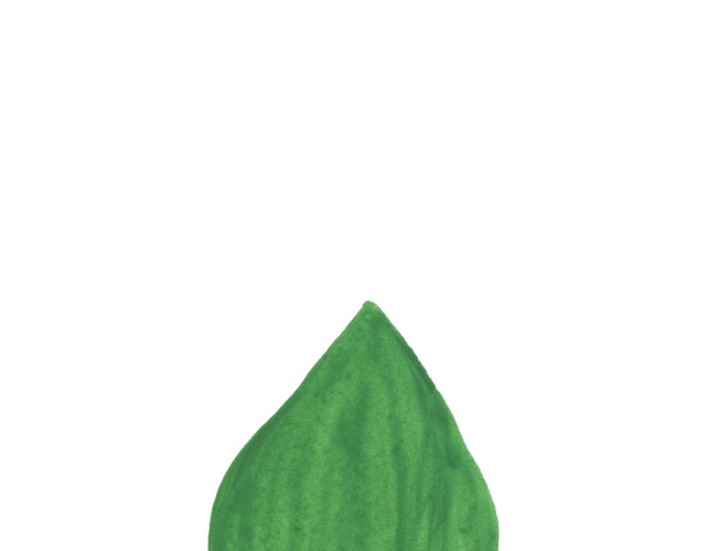 绿色清新植物树叶手绘插画