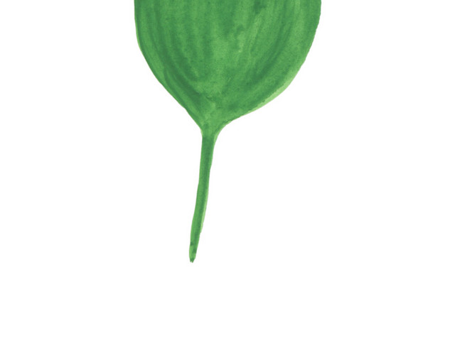 绿色清新植物树叶手绘插画