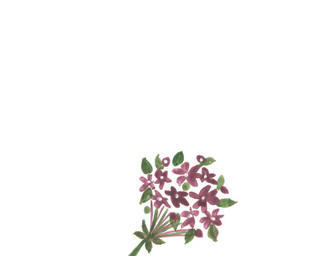 彩色手绘花束水彩插画