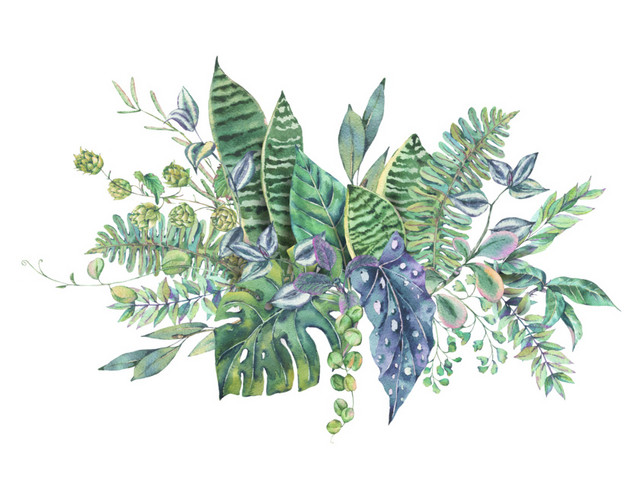 绿色清新植物手绘水彩插画
