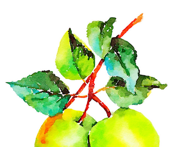 绿色手绘水果脆枣水彩插画