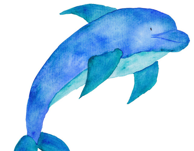 蓝色手绘海豚水彩插画