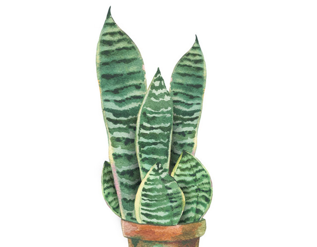 绿色手绘盆栽水彩插画
