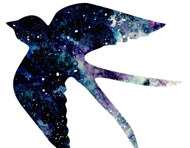 黑色星空鸟手绘素材