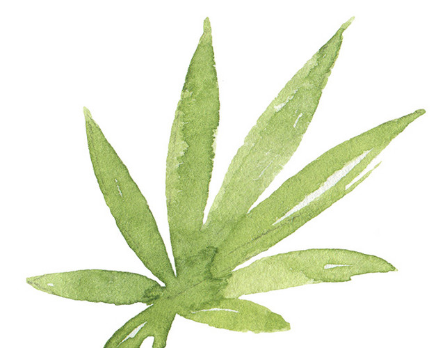 绿色树枝树叶手绘素材