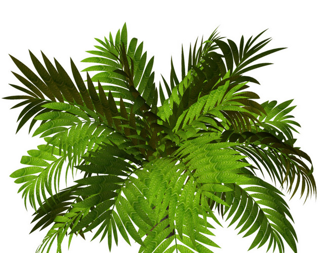 绿色草手绘素材