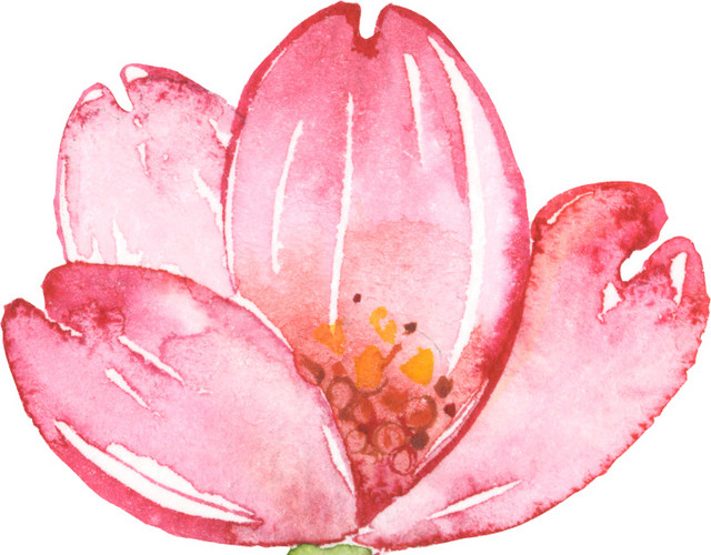 粉色花手绘素材