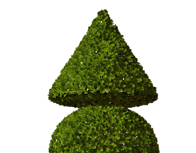 园林植物素材
