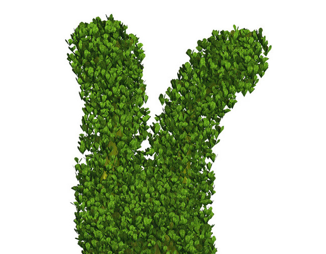 园林植物素材