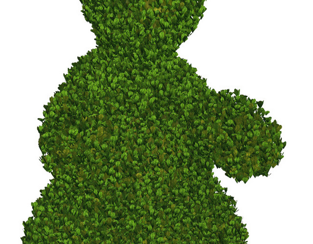 园林植物素材