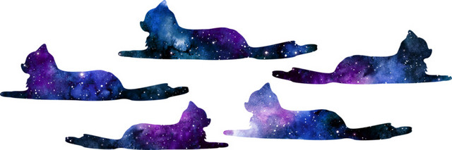 水彩星空剪影猫素材