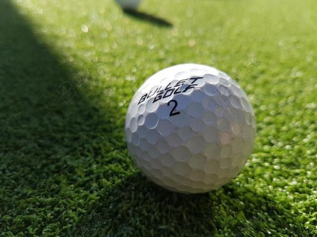 高尔夫球场球 球 运动 高尔夫 娱乐 GOLFBALL